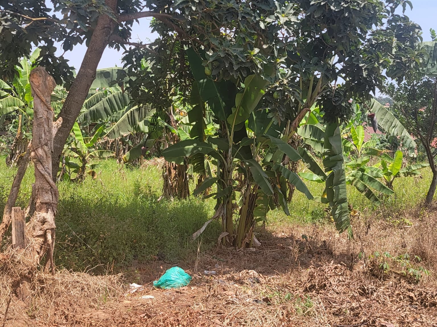Residential land for sale in Kira Wakiso Uganda