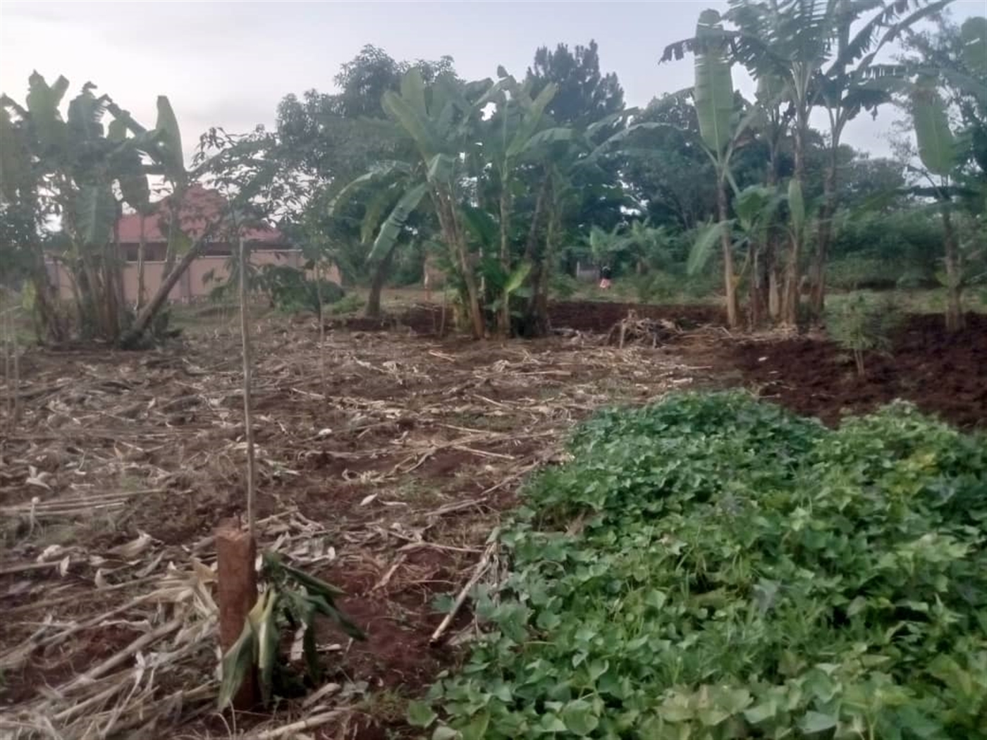 Residential land for sale in Kira Wakiso Uganda