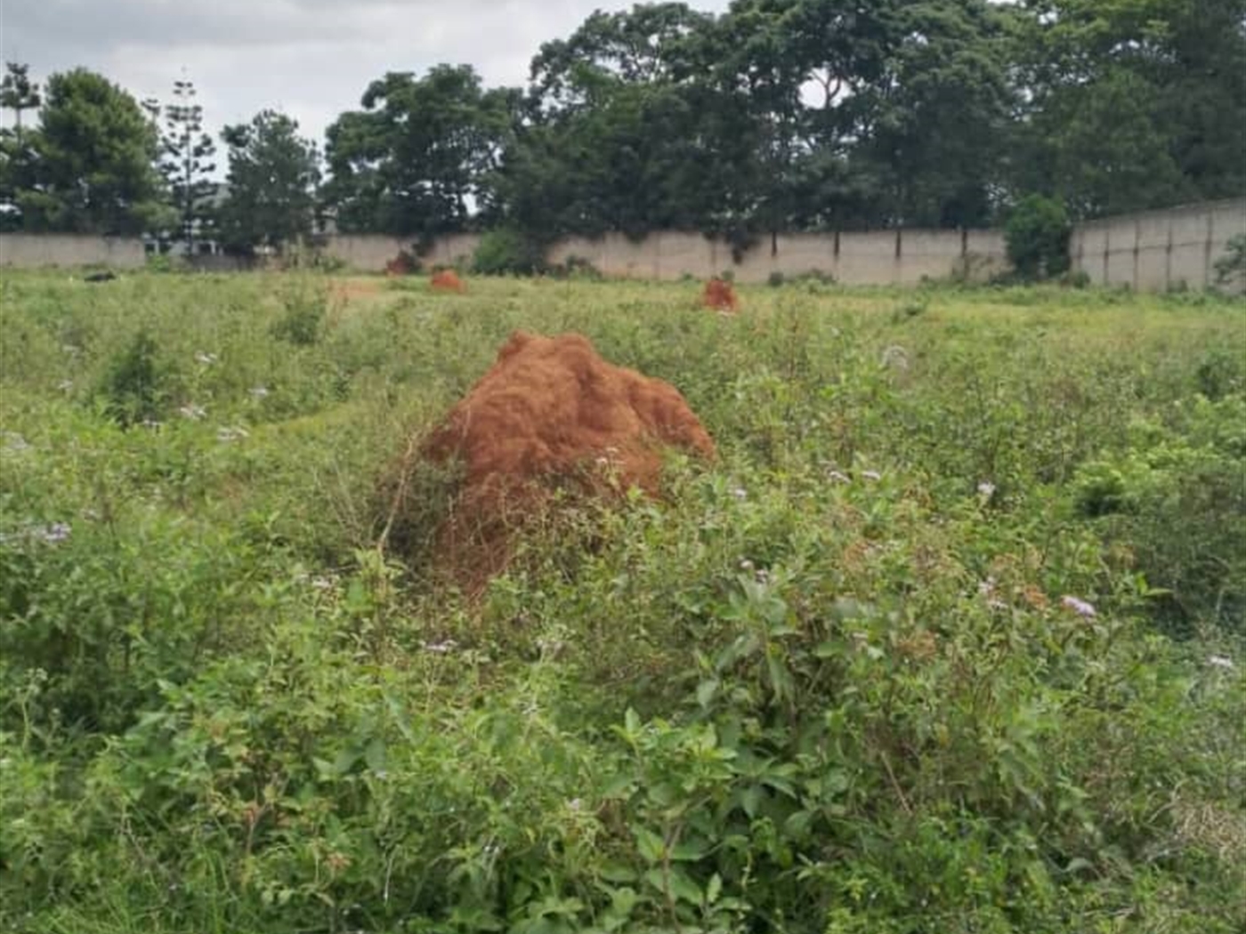 Residential land for sale in Garuga Wakiso Uganda