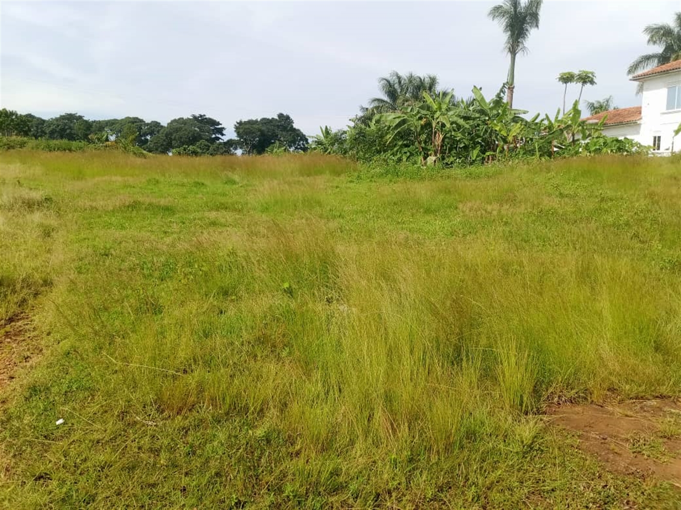 Residential land for sale in Garuga Wakiso Uganda