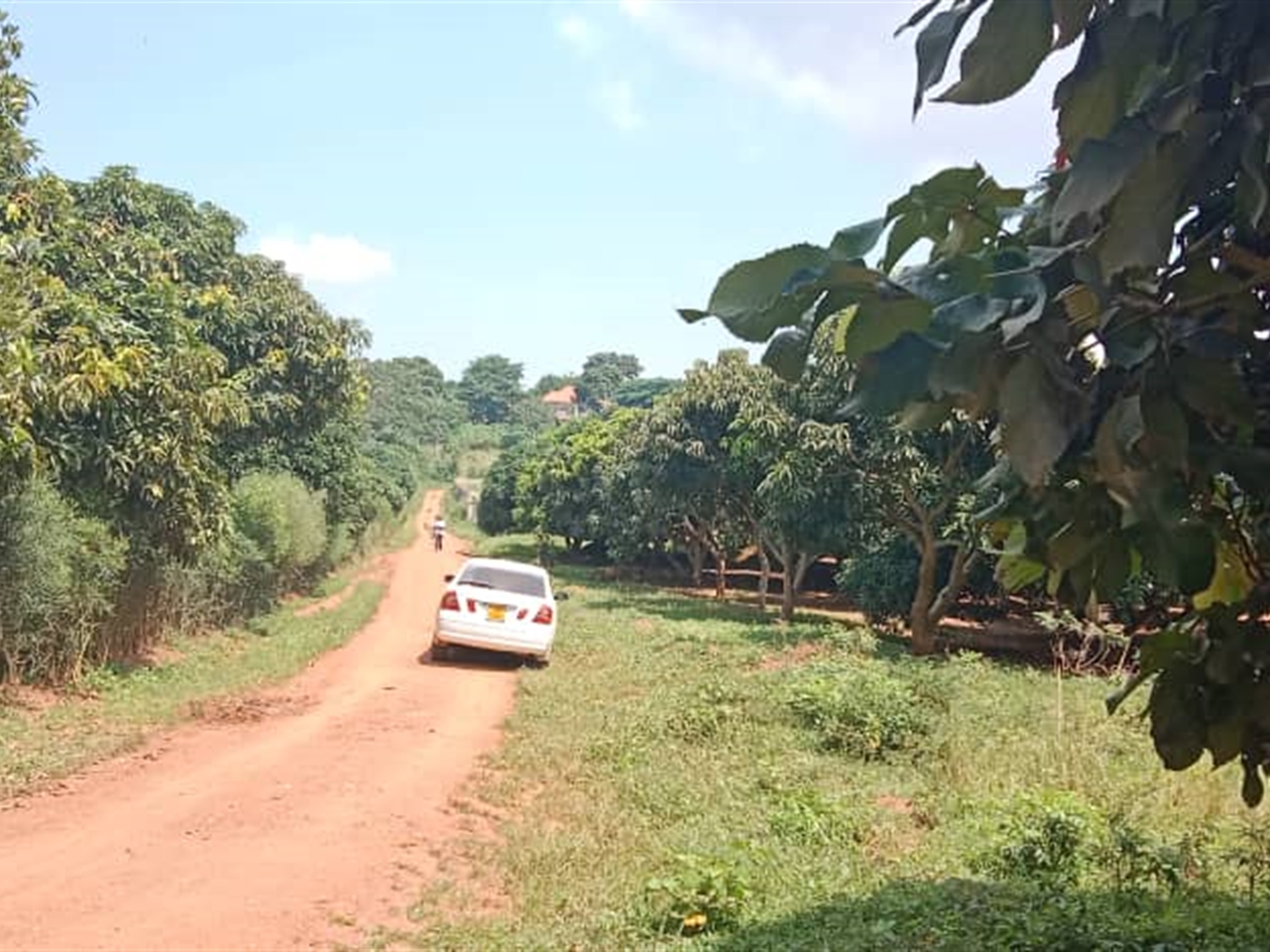 Residential land for sale in Garuga Wakiso Uganda