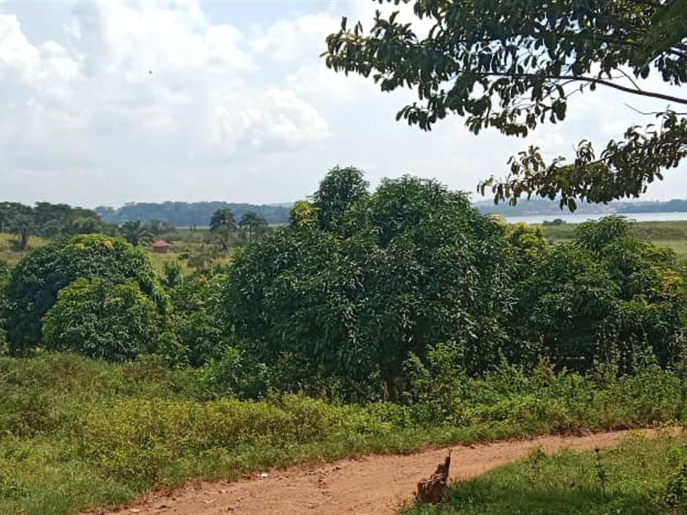 Residential land for sale in Garuga Wakiso Uganda
