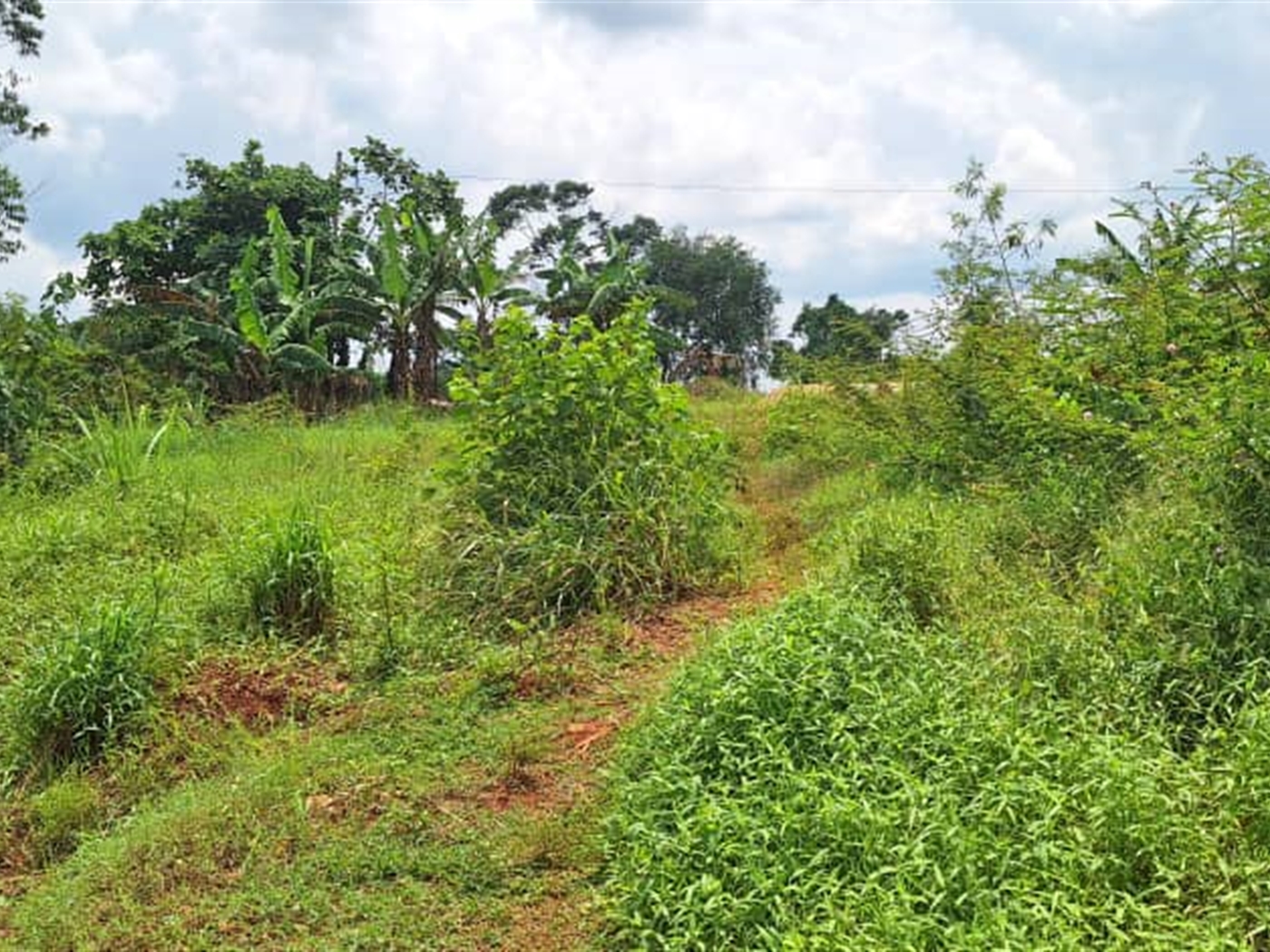 Residential land for sale in Kira Wakiso Uganda