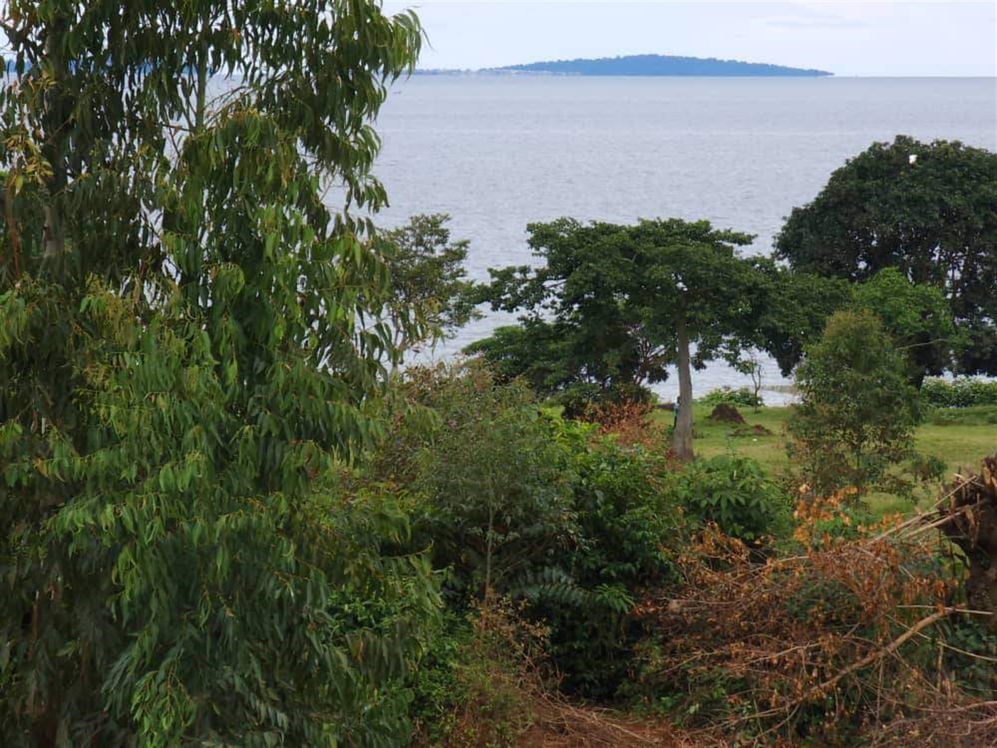 Residential land for sale in Garuga Wakiso Uganda