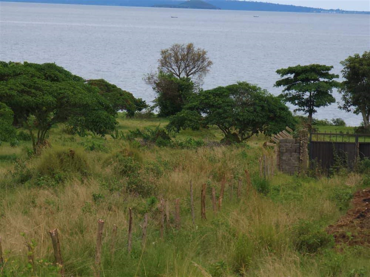 Residential land for sale in Garuga Wakiso Uganda