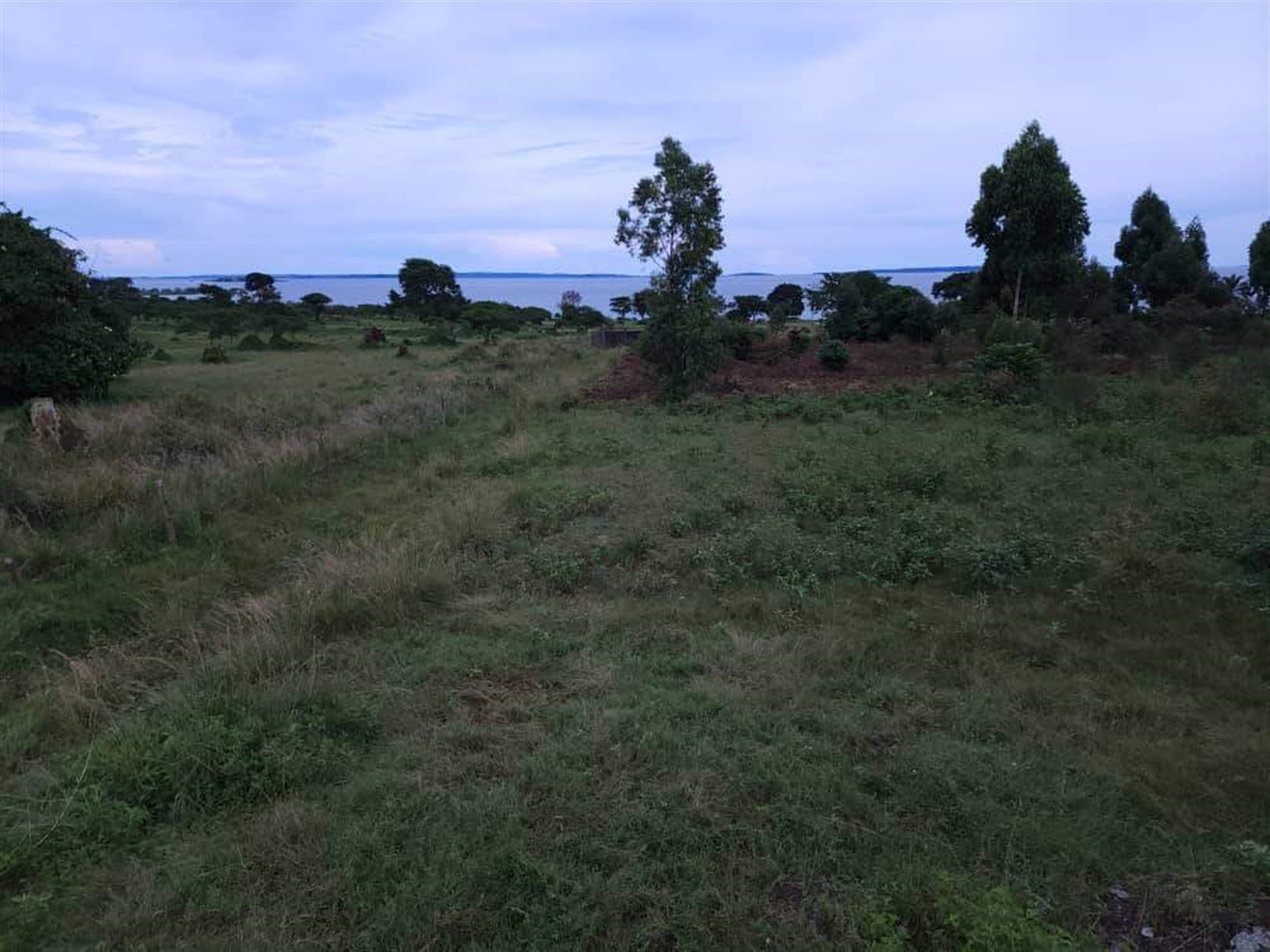 Residential land for sale in Garuga Wakiso Uganda