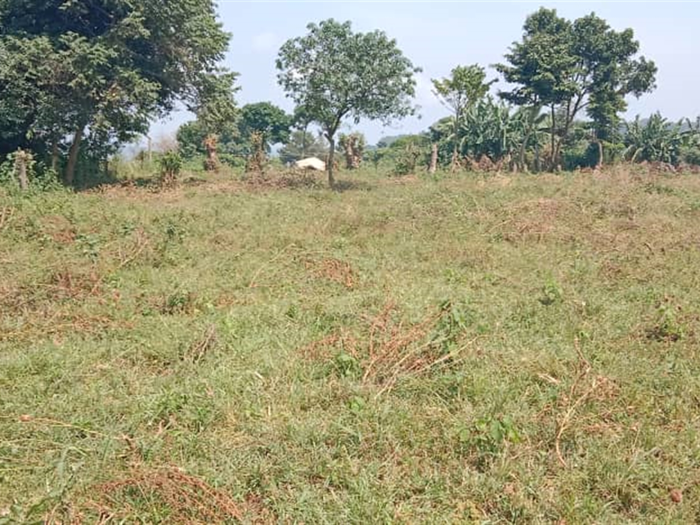 Residential land for sale in Garuga Wakiso Uganda
