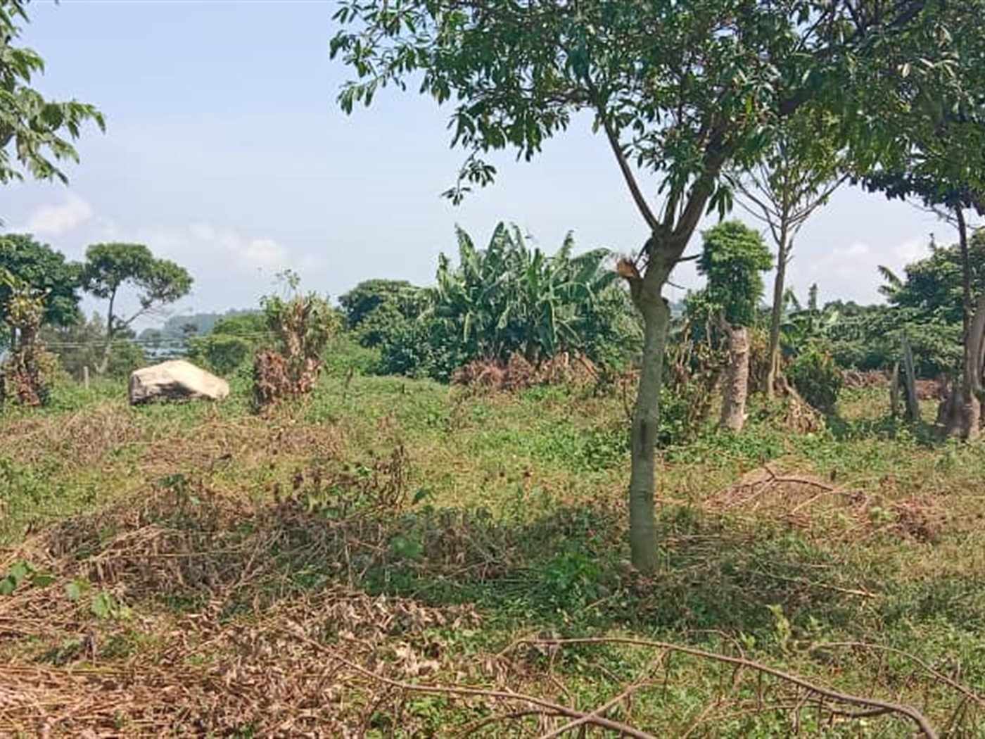 Residential land for sale in Garuga Wakiso Uganda