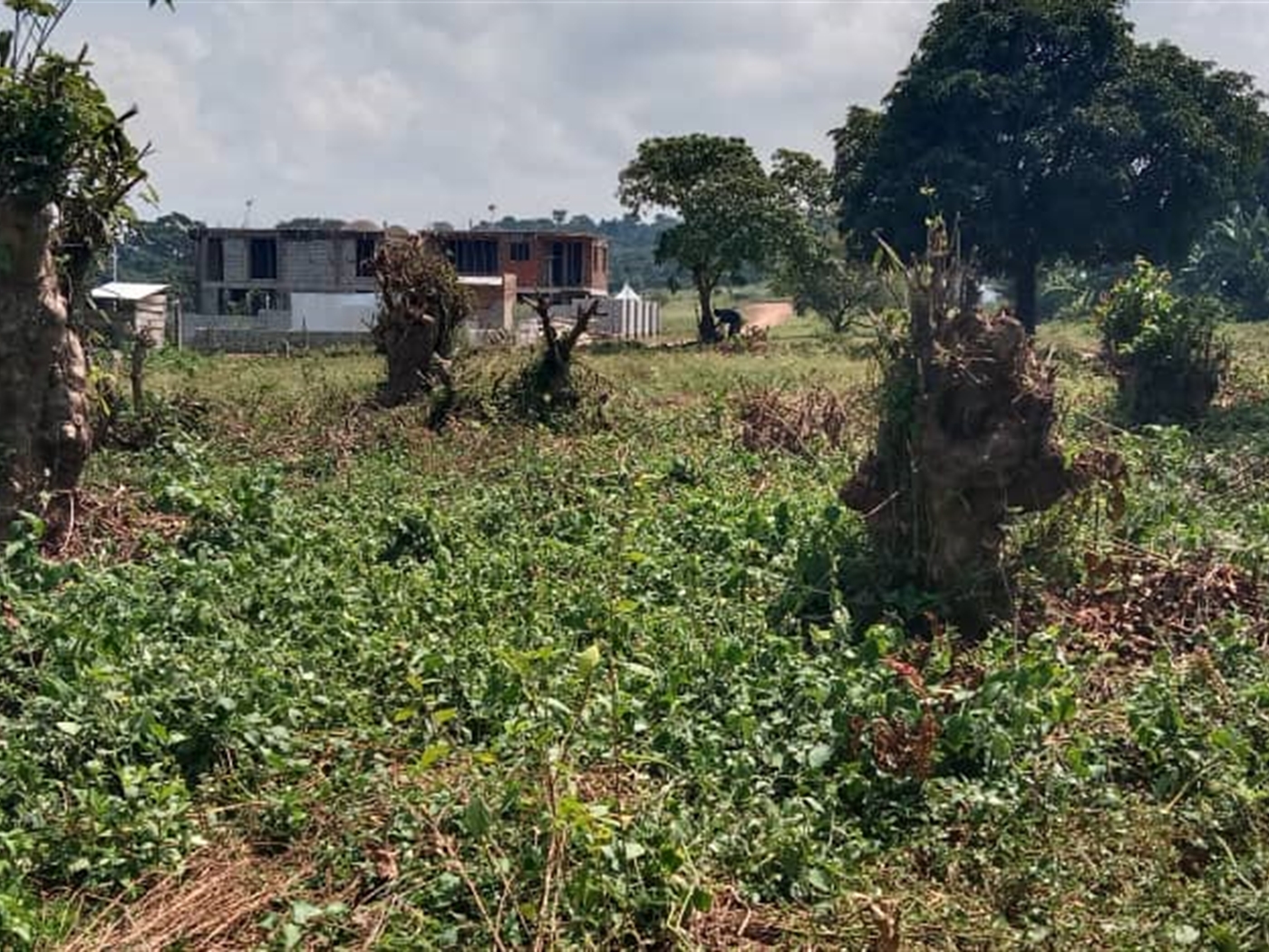 Residential land for sale in Garuga Wakiso Uganda