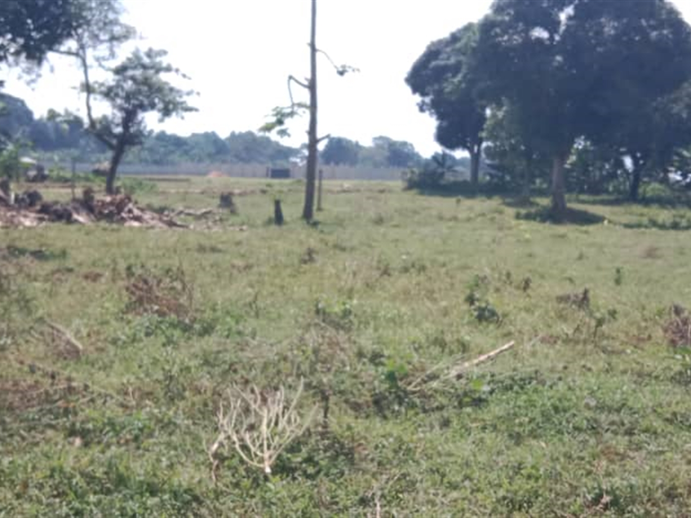 Residential land for sale in Garuga Wakiso Uganda