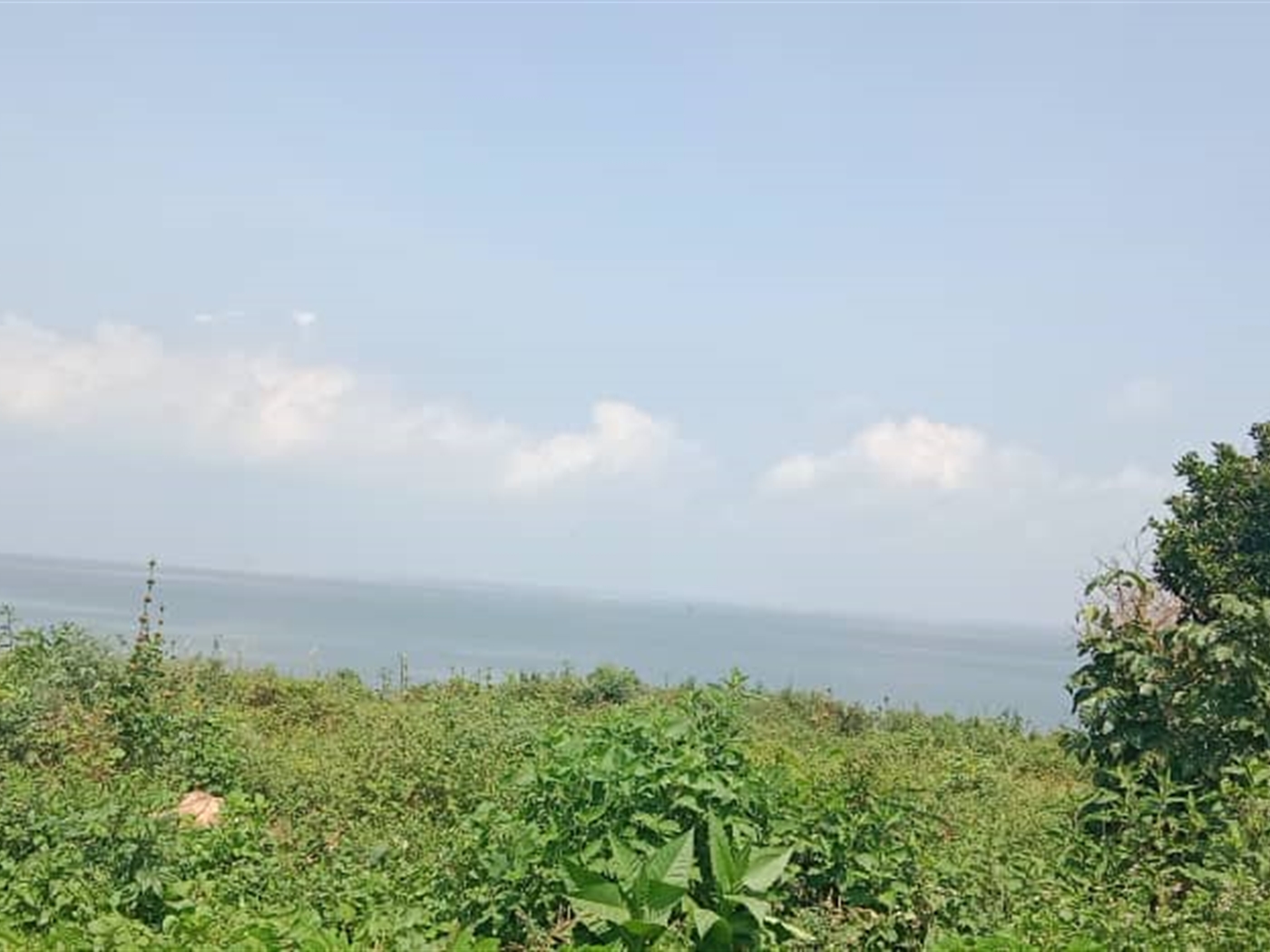 Residential land for sale in Garuga Wakiso Uganda