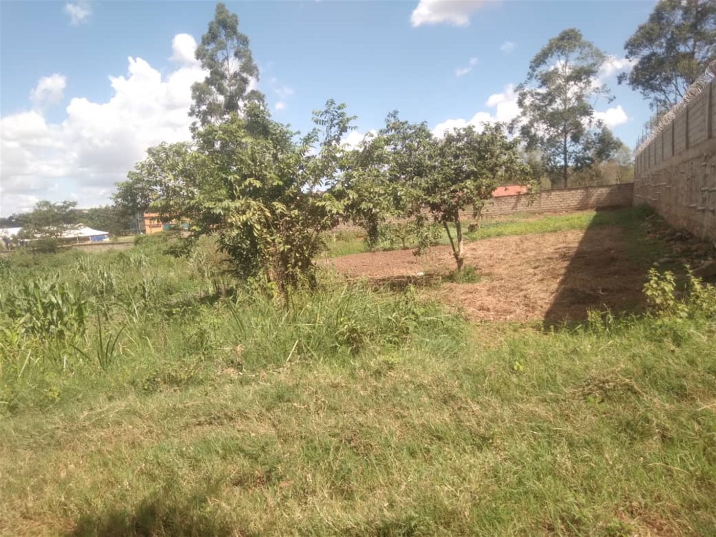 Residential land for sale in Kira Wakiso Uganda