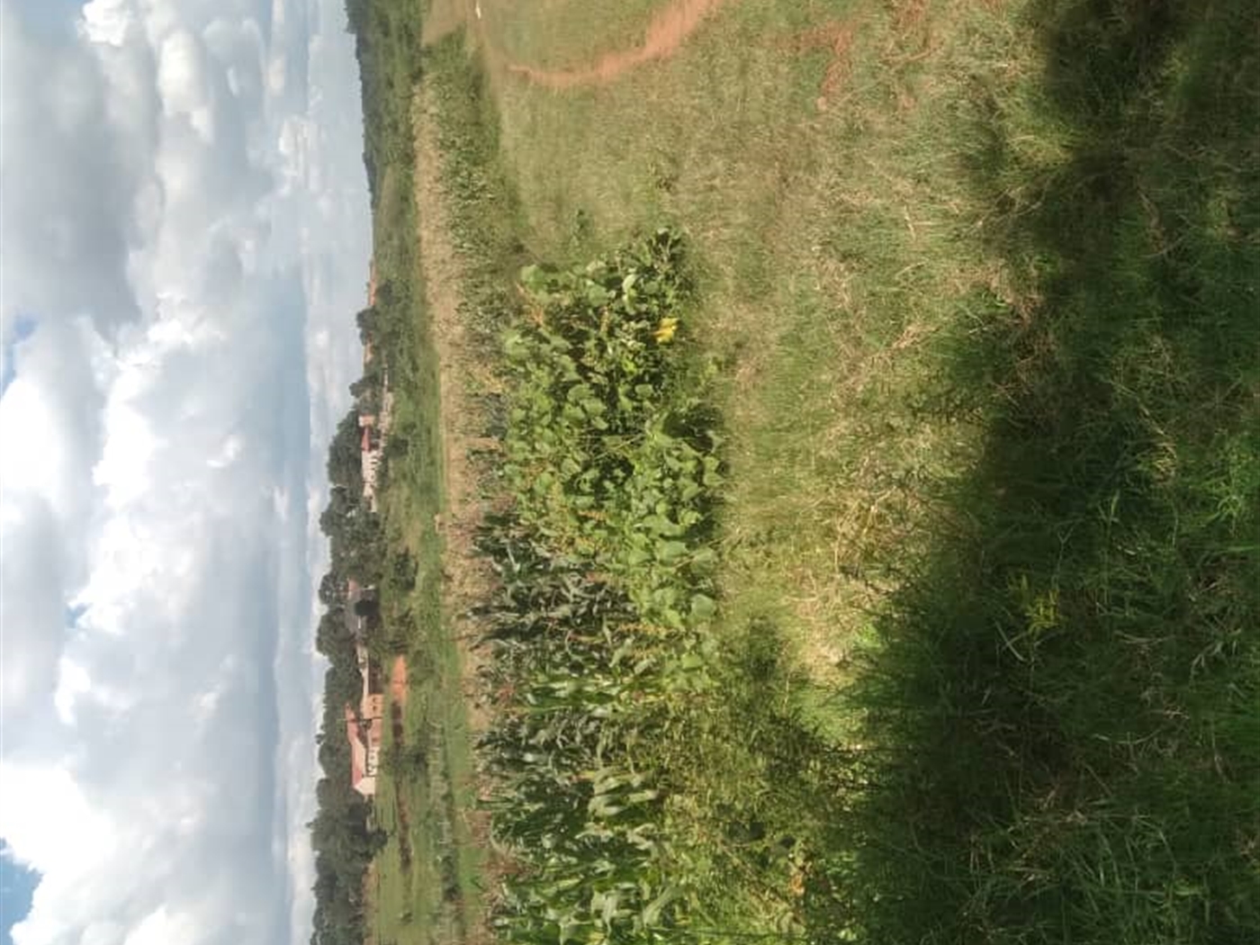 Residential land for sale in Kira Wakiso Uganda