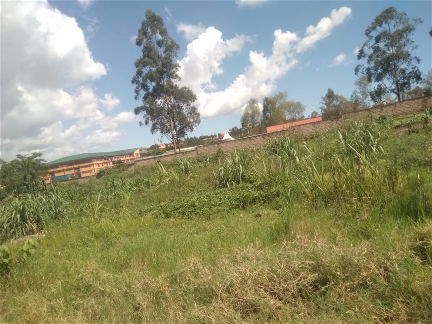 Residential land for sale in Kira Wakiso Uganda