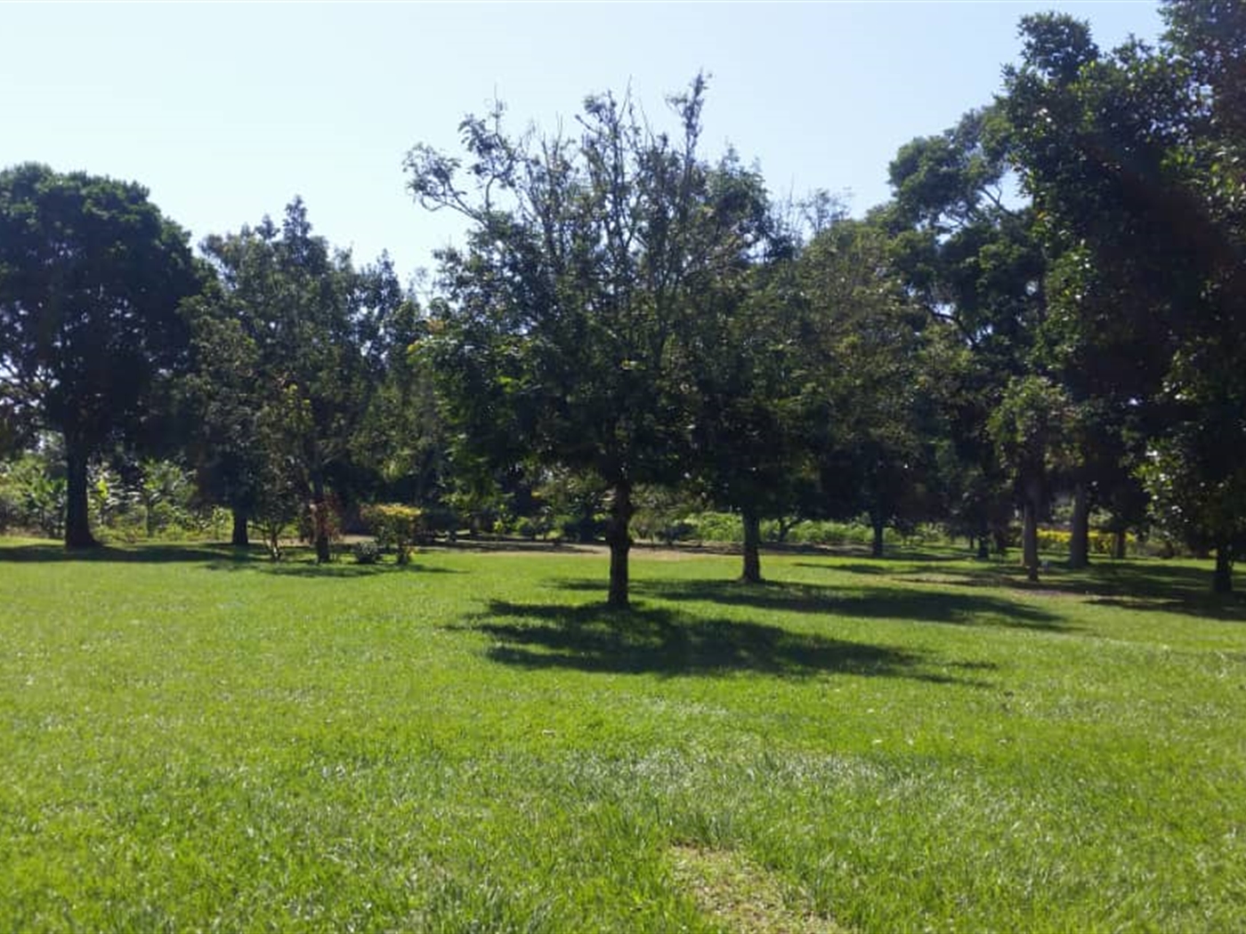 Residential land for sale in Garuga Wakiso Uganda