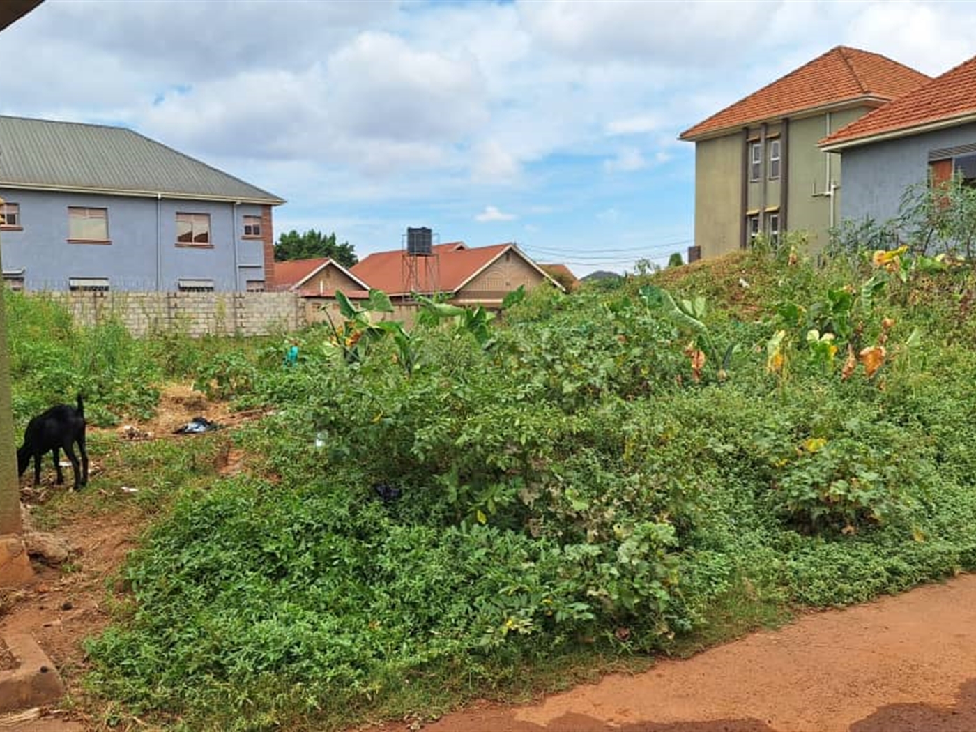 Residential land for sale in Kira Wakiso Uganda