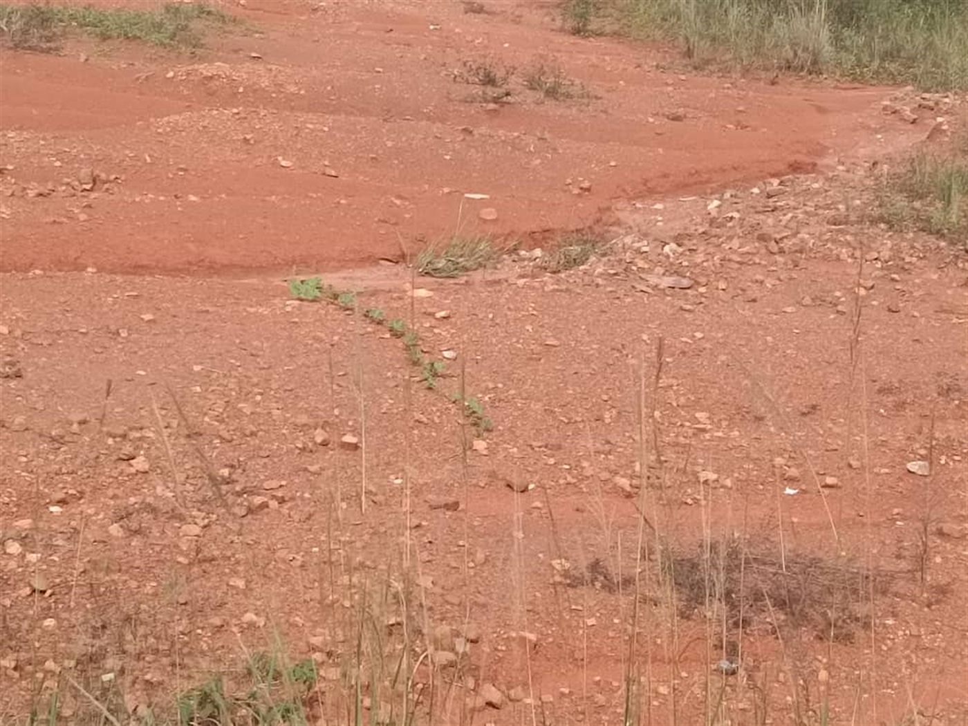 Residential land for sale in Kira Wakiso Uganda