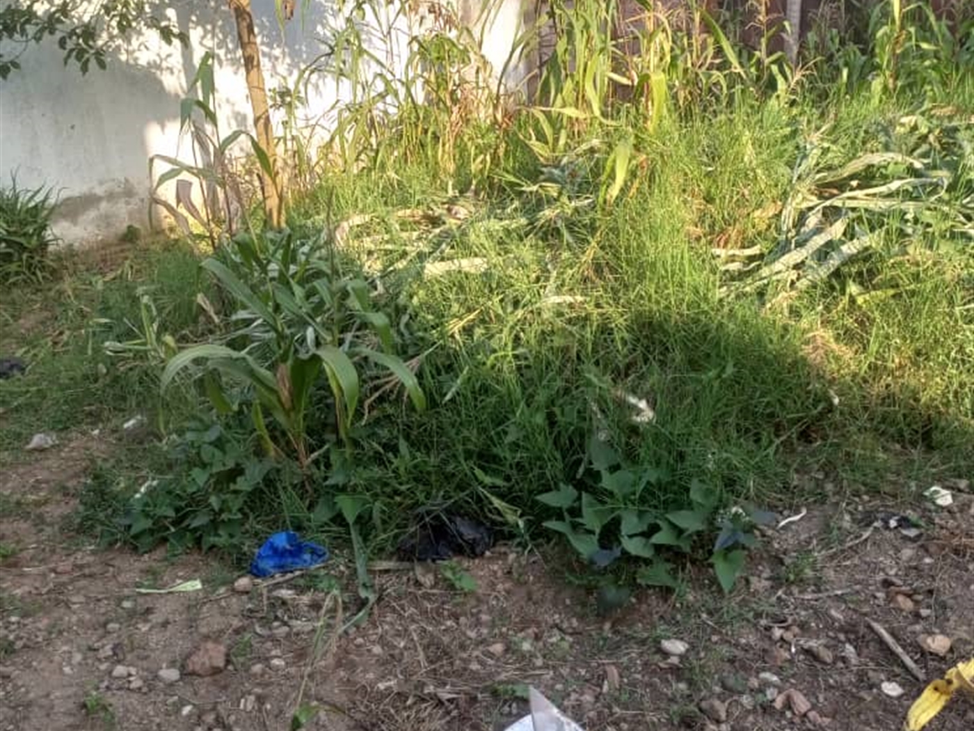 Residential land for sale in Kisaasi Kampala Ugand...