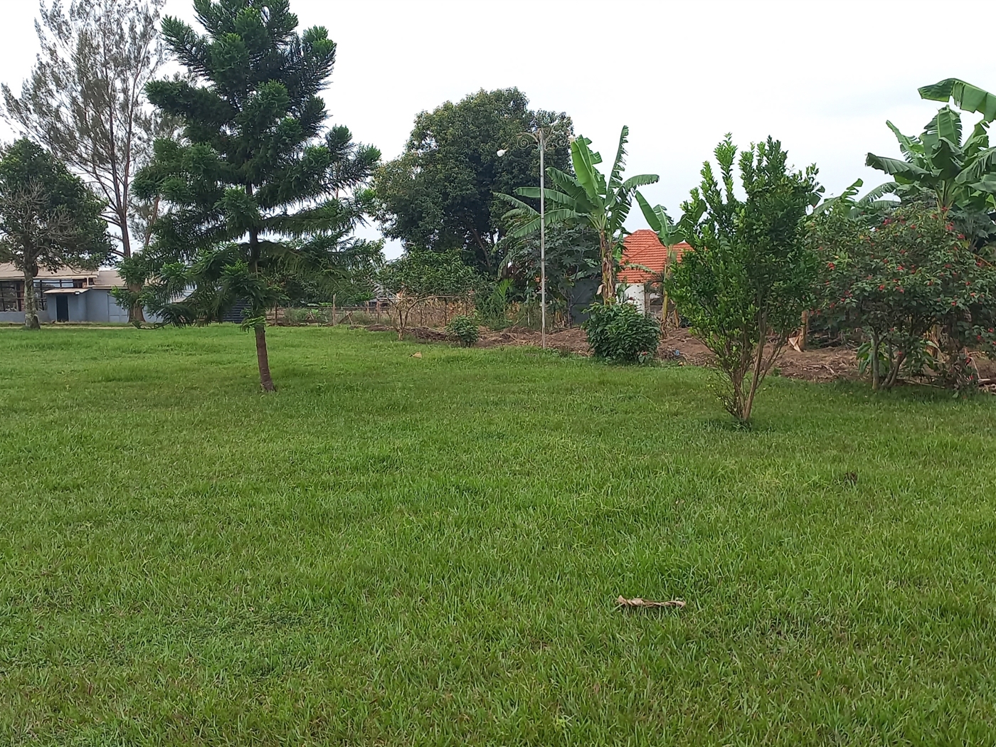 Residential land for sale in Kira Wakiso Uganda