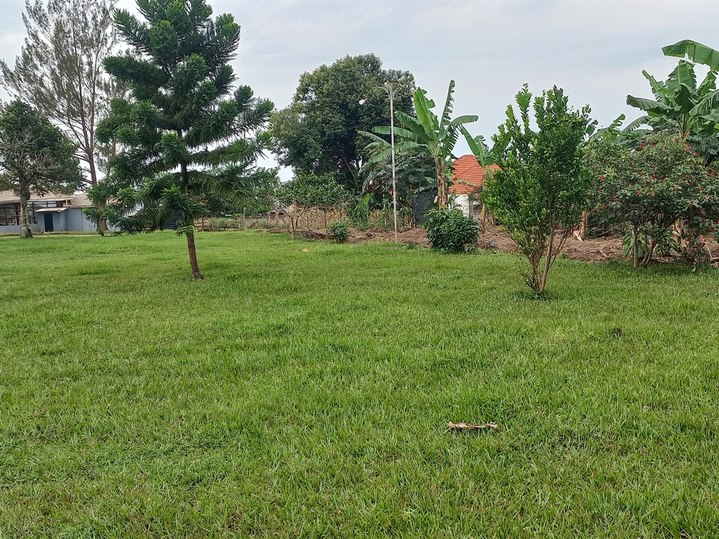 Residential land for sale in Kira Wakiso Uganda