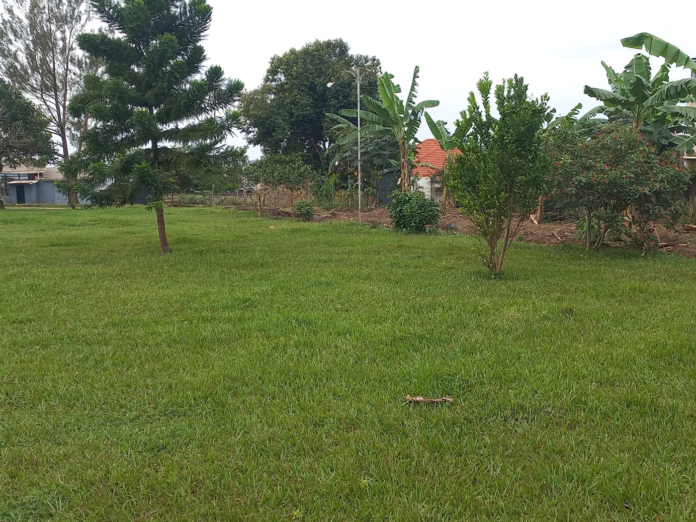Residential land for sale in Kira Wakiso Uganda