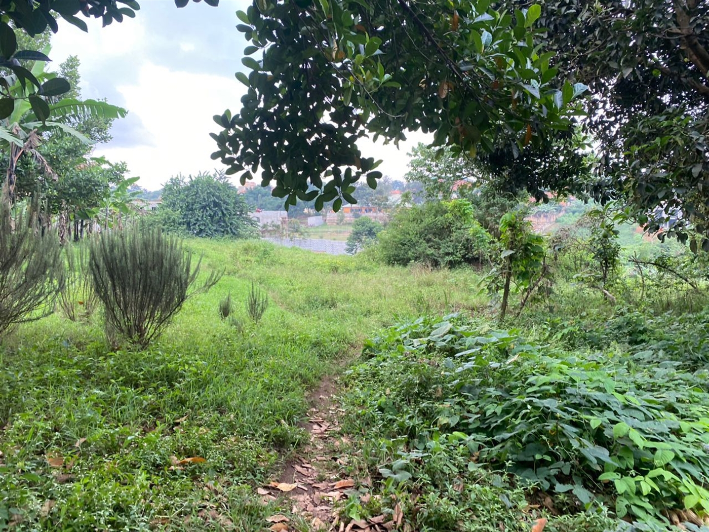 Residential land for sale in Kira Wakiso Uganda