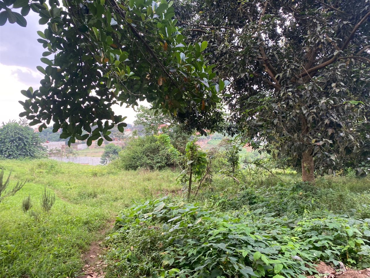 Residential land for sale in Kira Wakiso Uganda