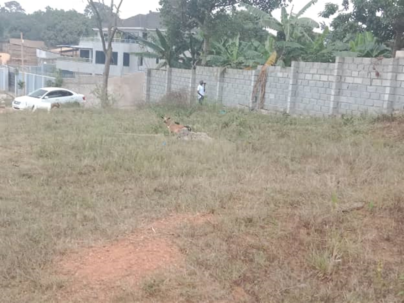 Residential land for sale in Kisaasi Kampala Uganda