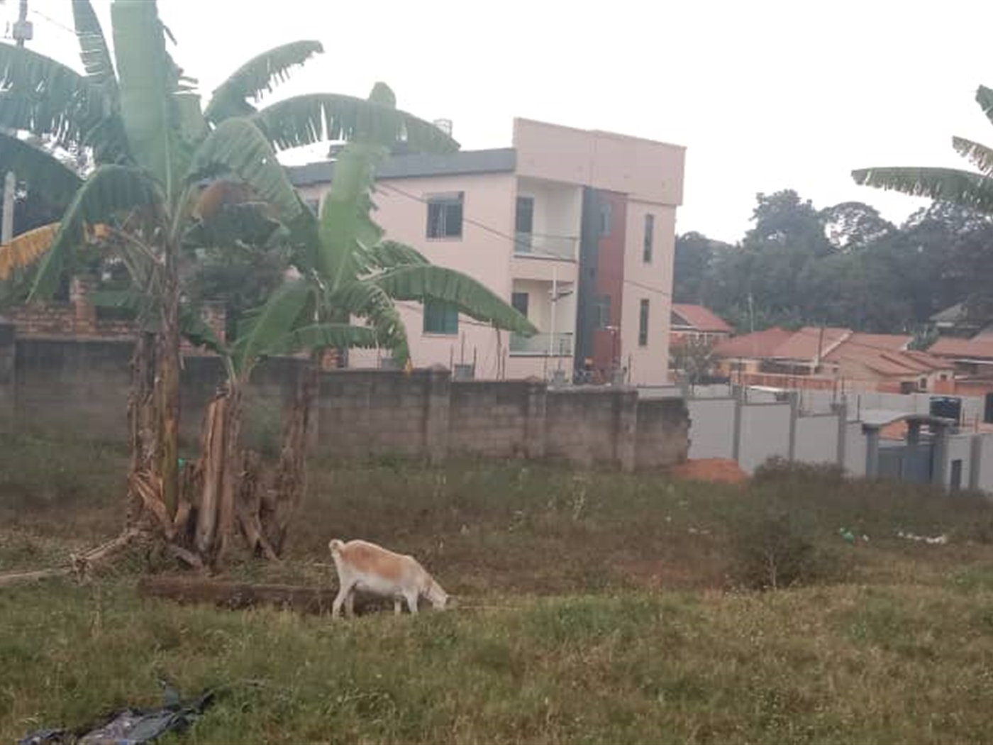 Residential land for sale in Kisaasi Kampala Uganda