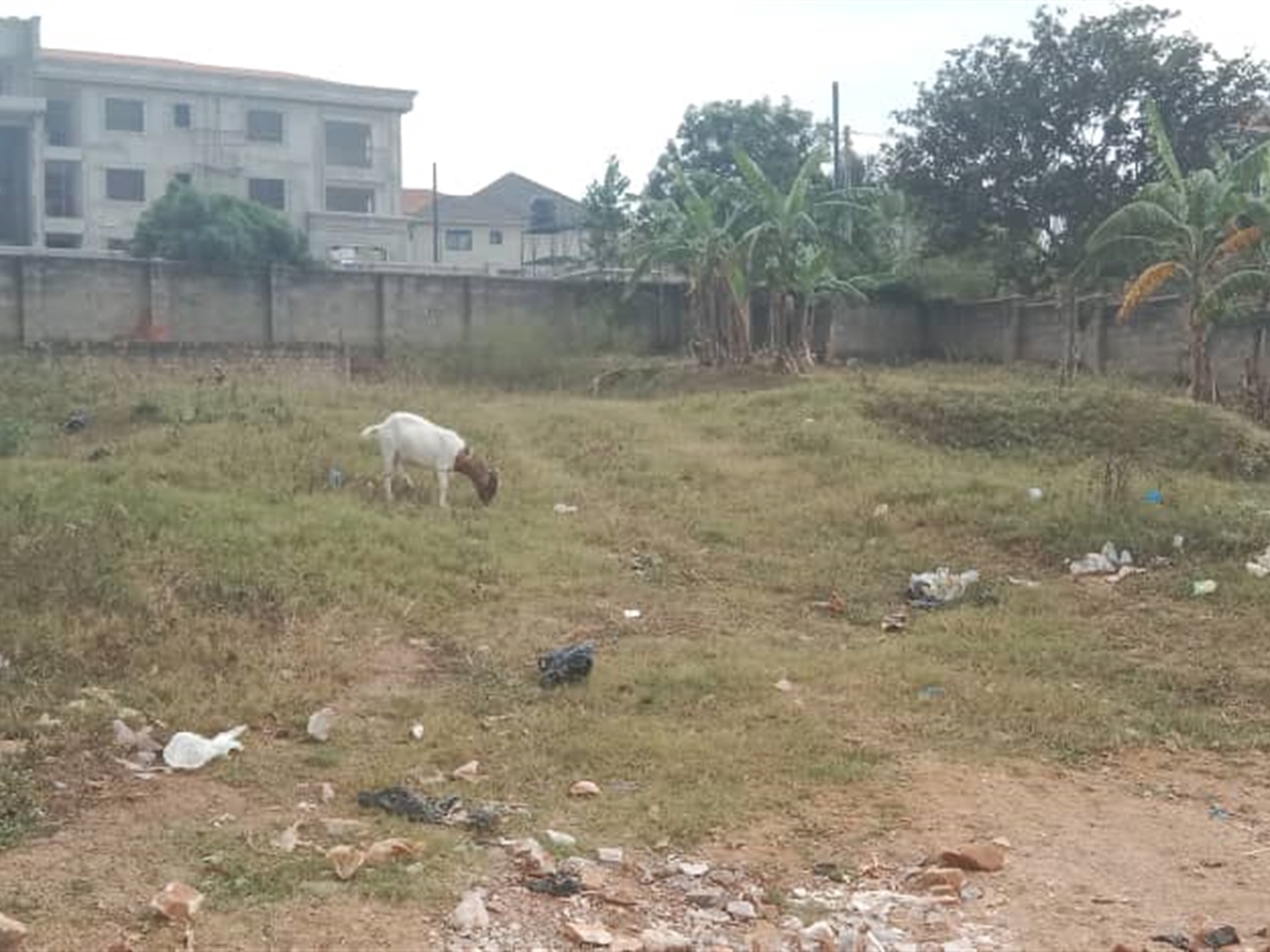 Residential land for sale in Kisaasi Kampala Uganda
