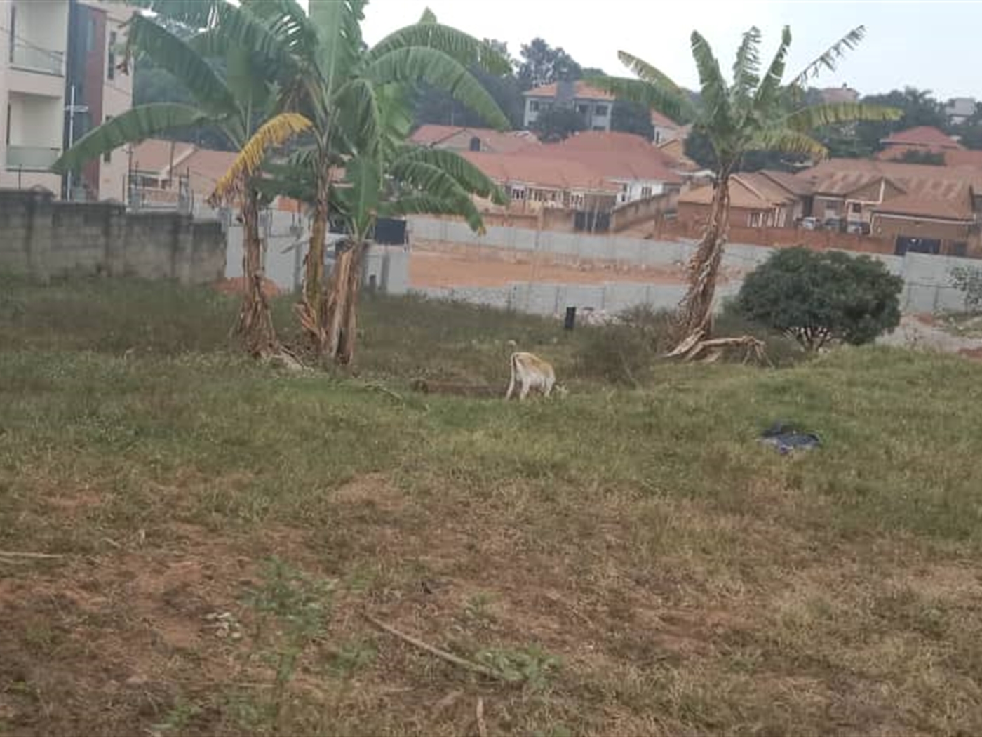 Residential land for sale in Kisaasi Kampala Uganda