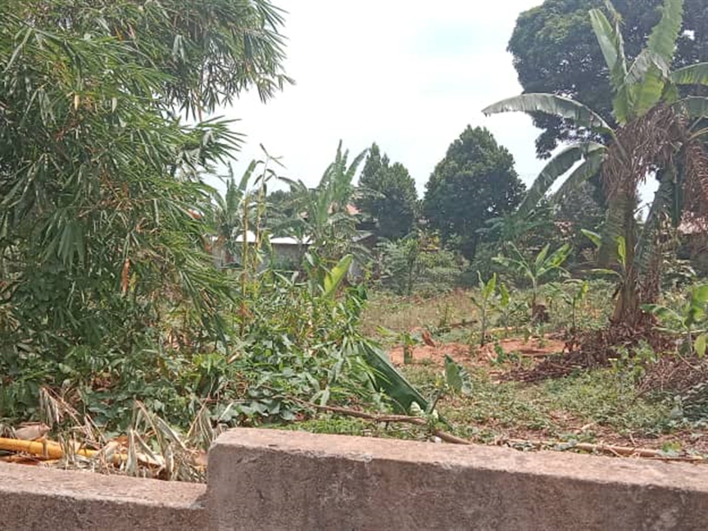 Residential land for sale in Kisaasi Kampala Uganda