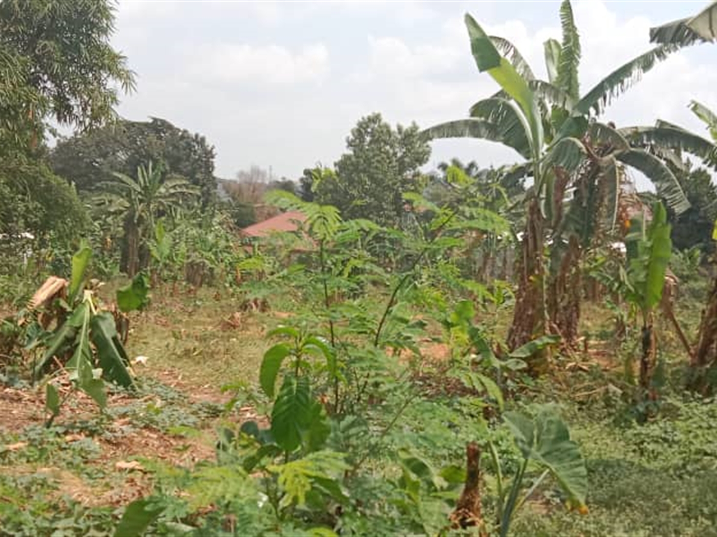Residential land for sale in Kisaasi Kampala Uganda
