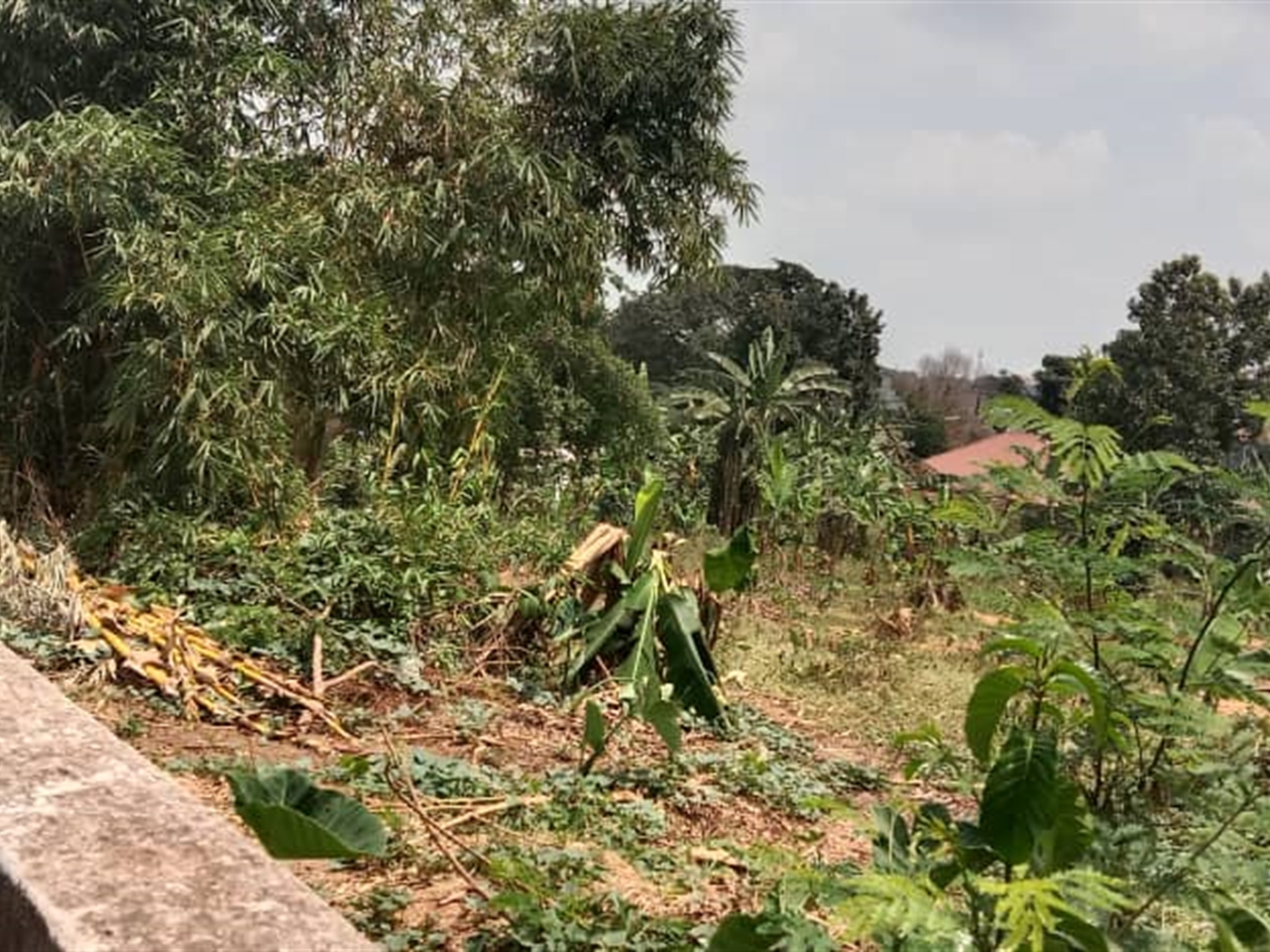 Residential land for sale in Kisaasi Kampala Ugand...