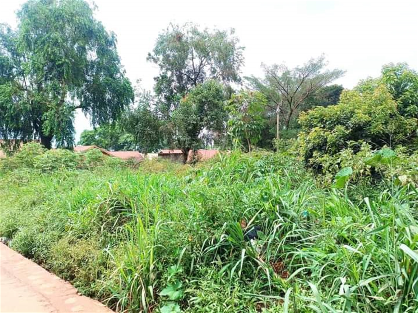 Residential land for sale in Namugongo Wakiso Ugan...
