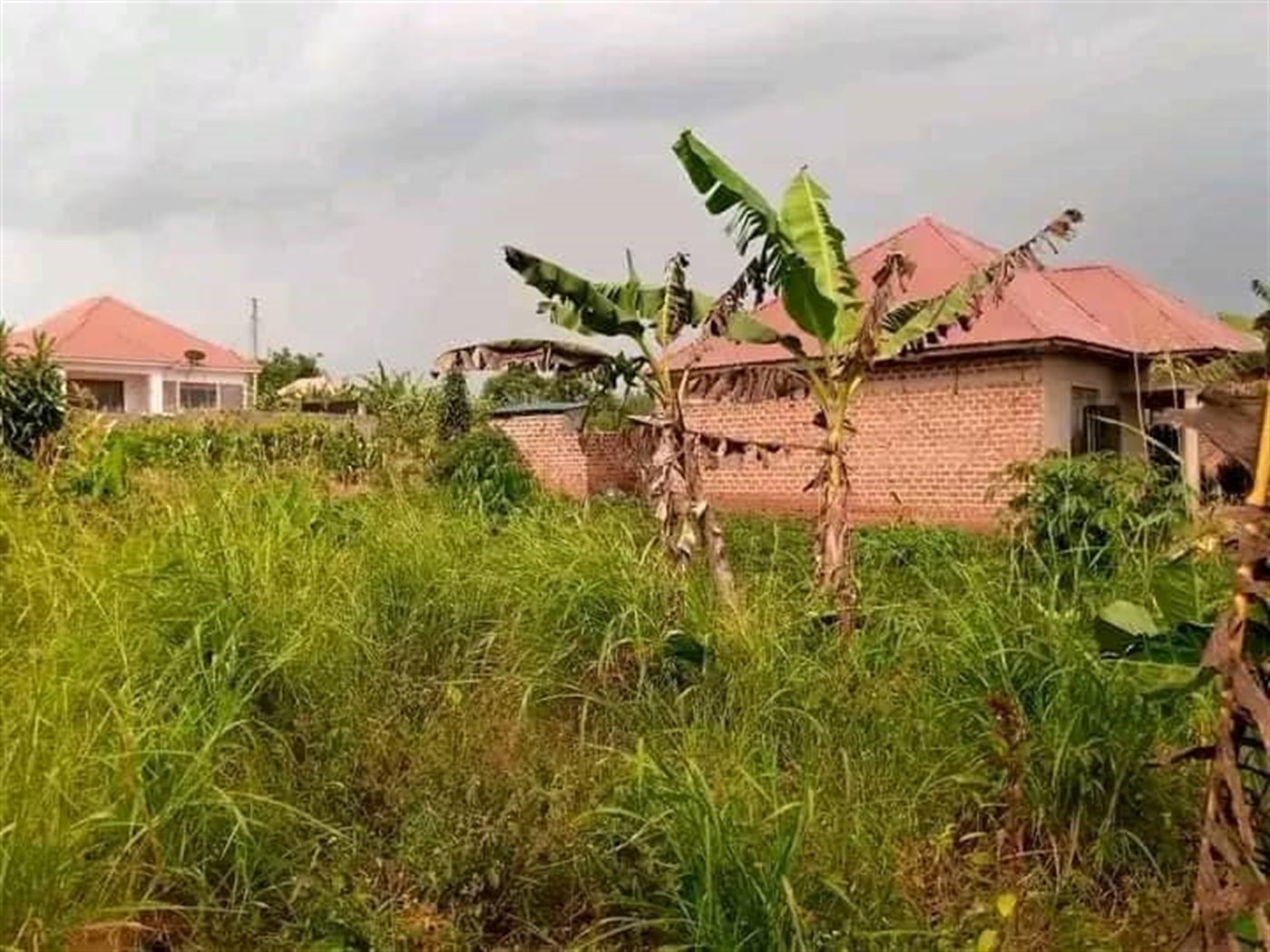 Residential land for sale in Namugongo Wakiso Uganda