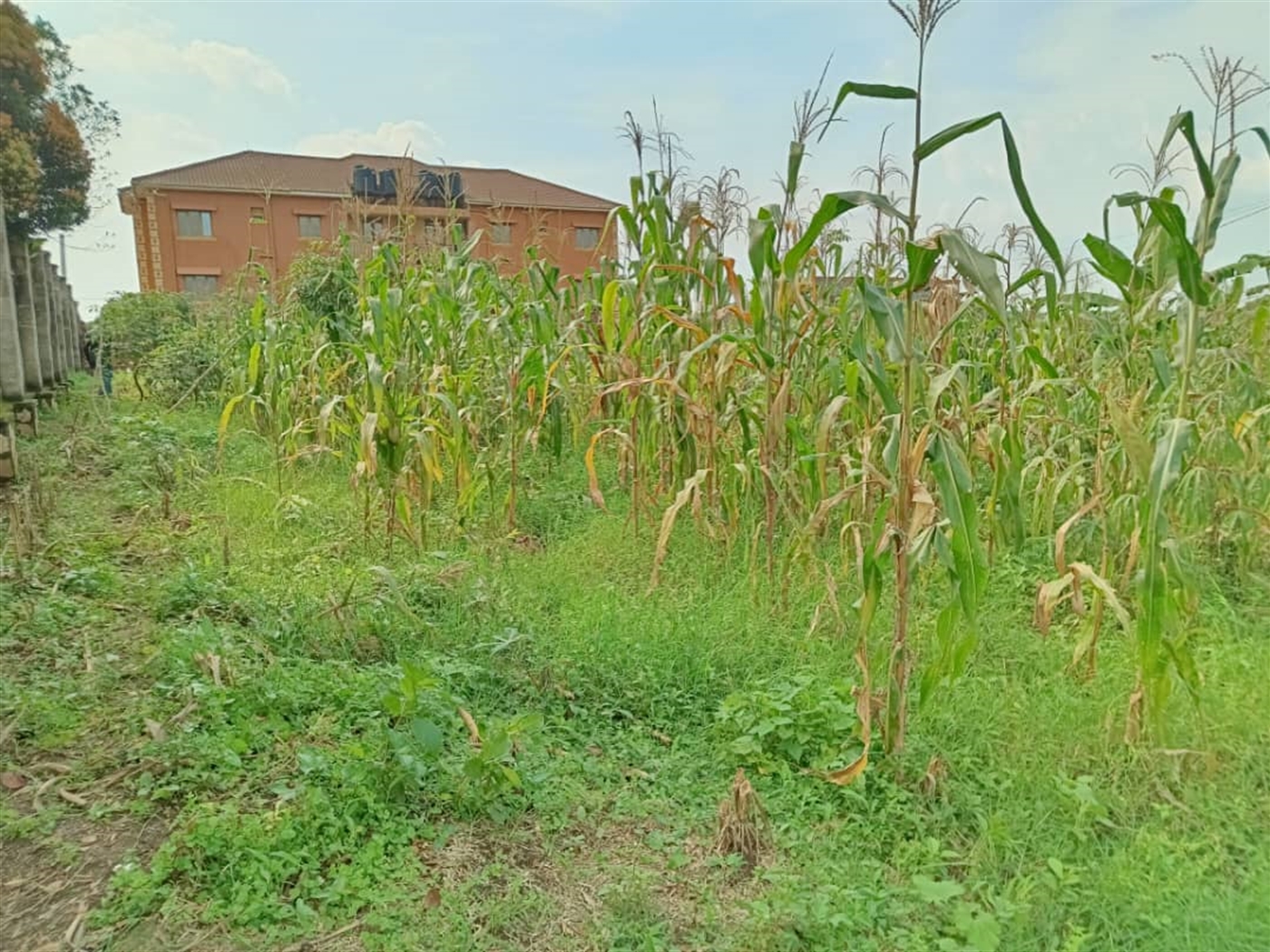 Residential land for sale in Namugongo Wakiso Uganda