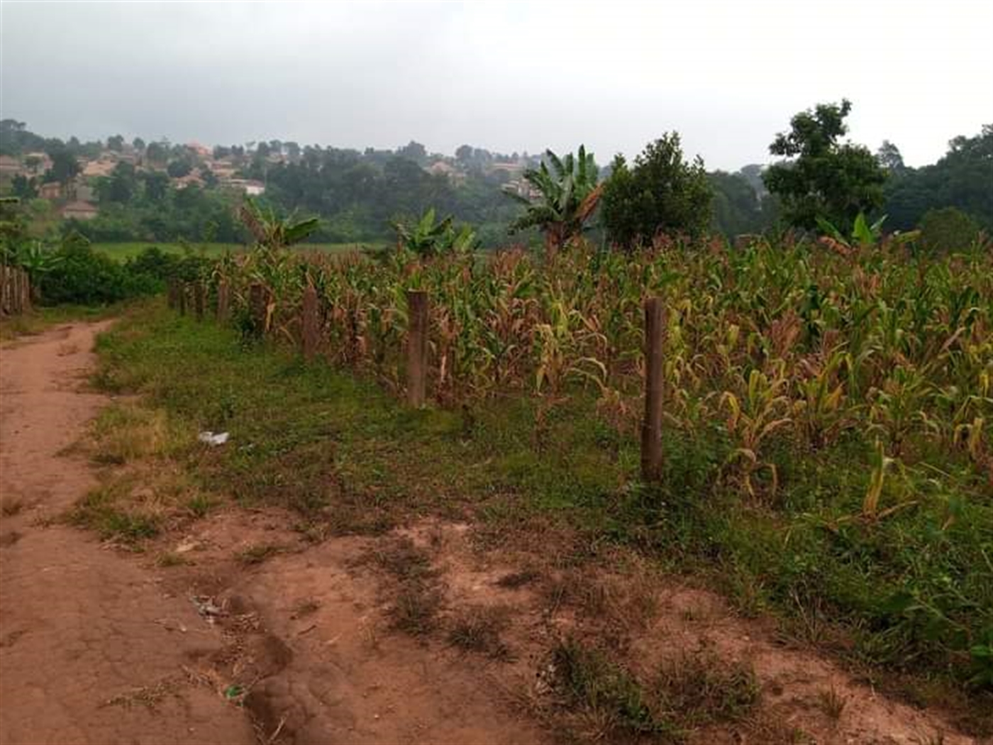 Residential land for sale in Namugongo Wakiso Uganda
