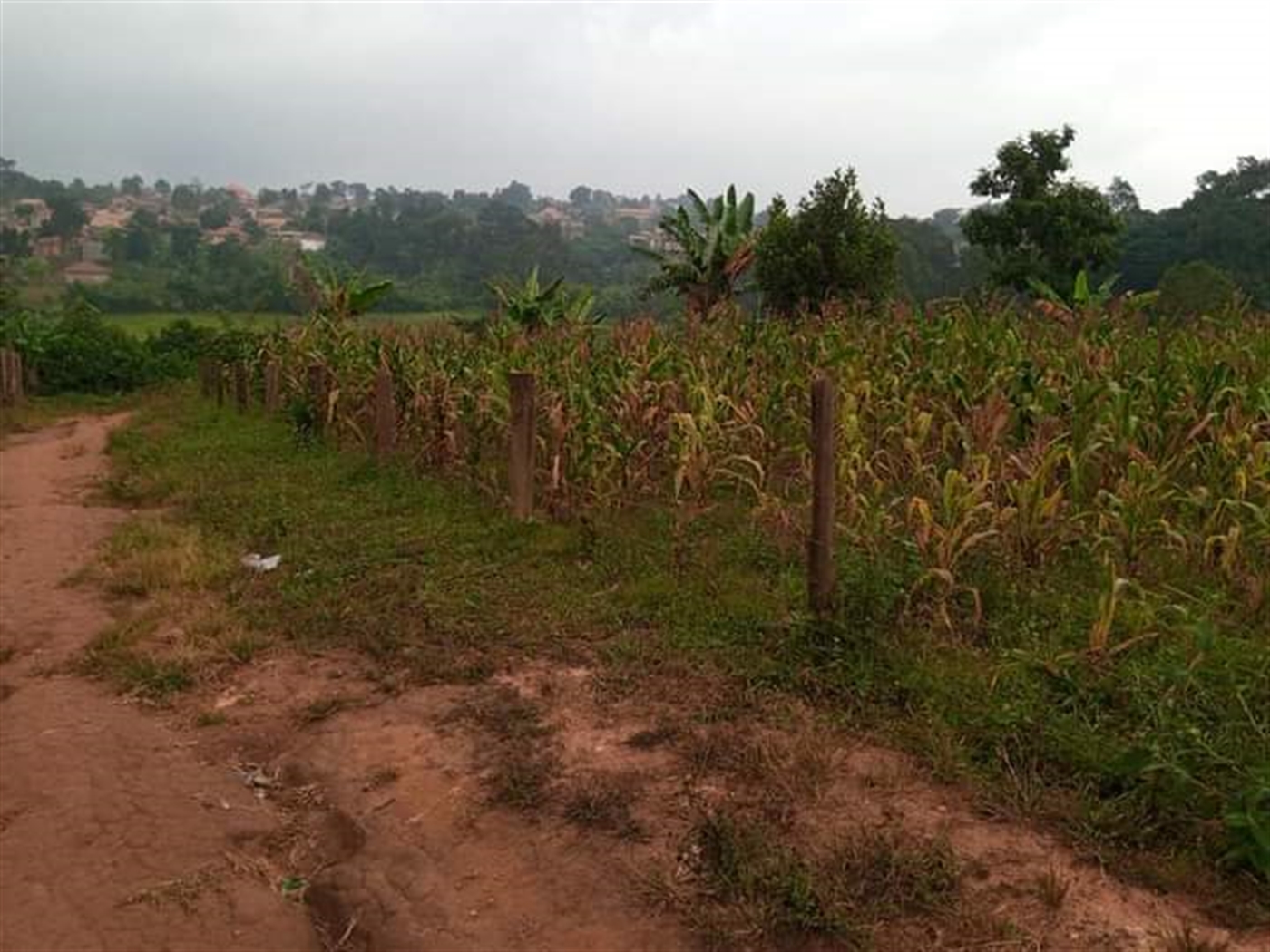 Residential land for sale in Namugongo Wakiso Uganda