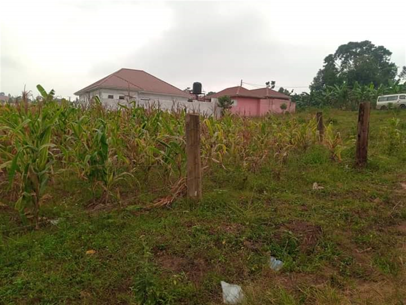 Residential land for sale in Namugongo Wakiso Uganda