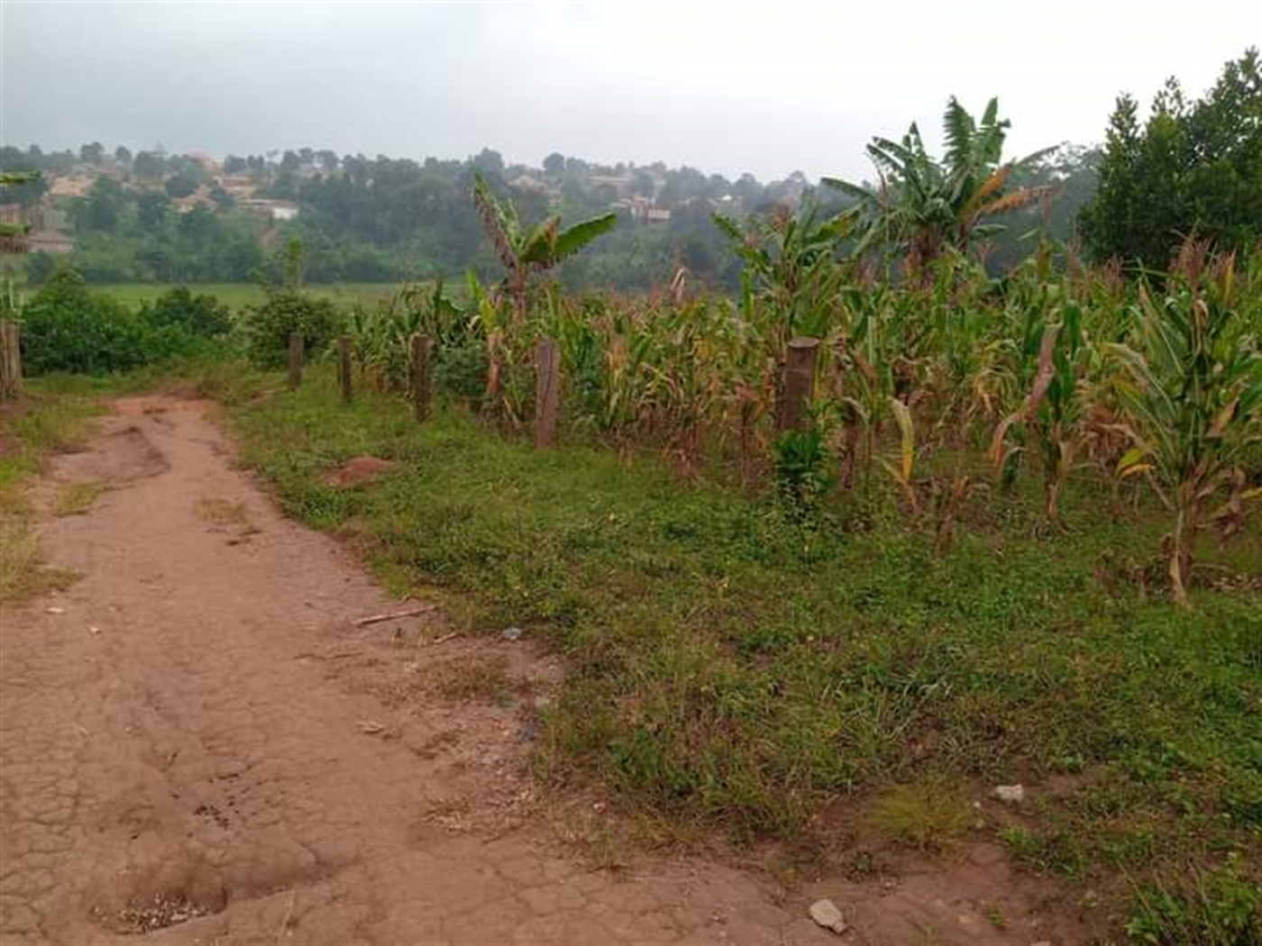 Residential land for sale in Namugongo Wakiso Uganda