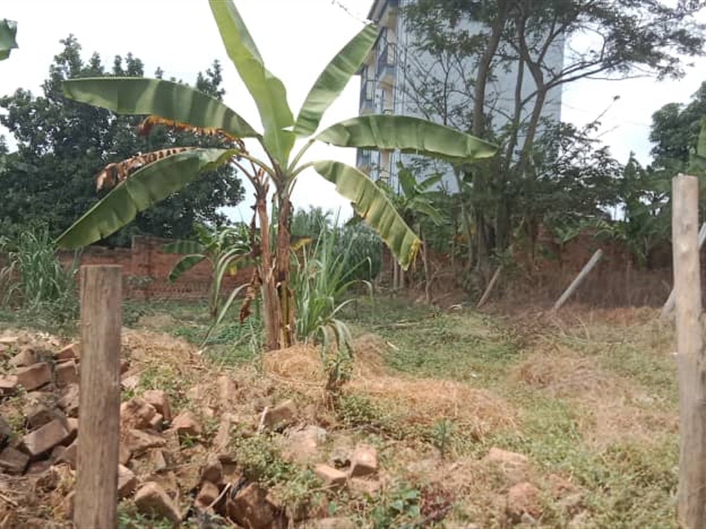 Residential land for sale in Kisaasi Kampala Uganda