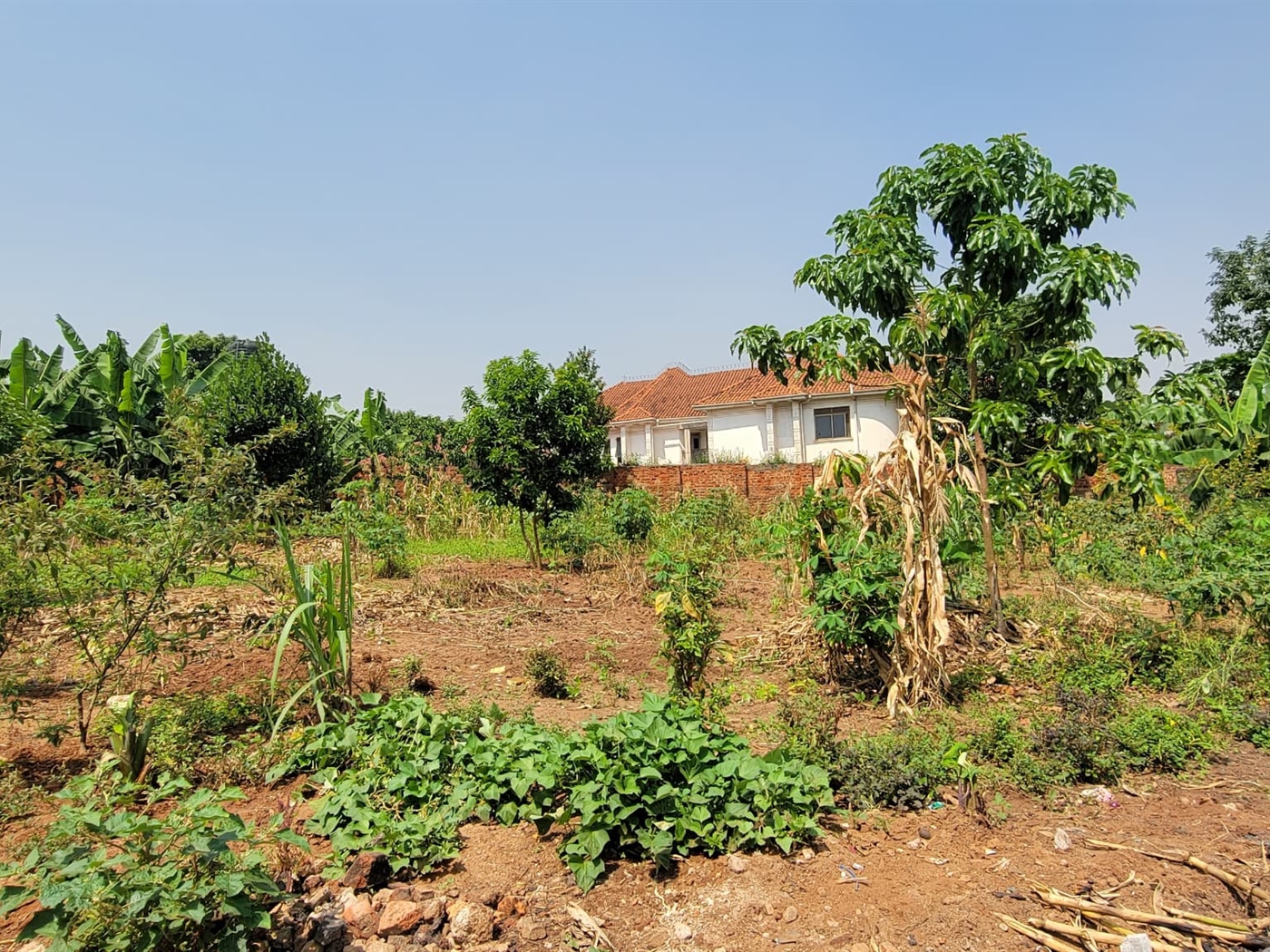Residential land for sale in Kisaasi Wakiso Uganda