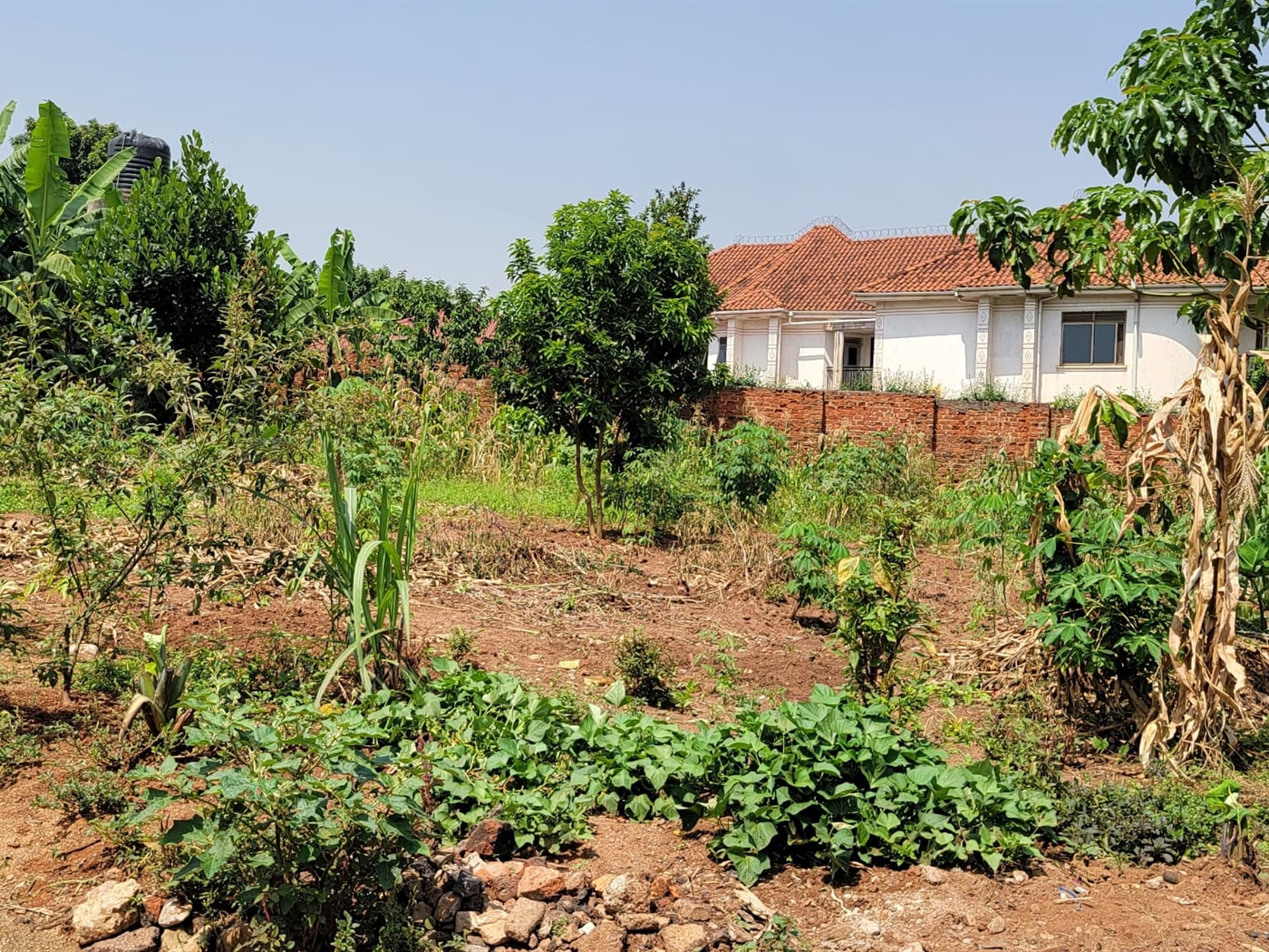 Residential land for sale in Kisaasi Wakiso Uganda