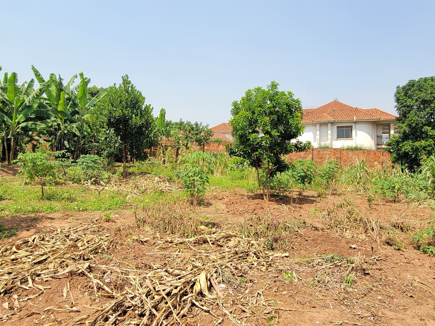 Residential land for sale in Kisaasi Wakiso Uganda