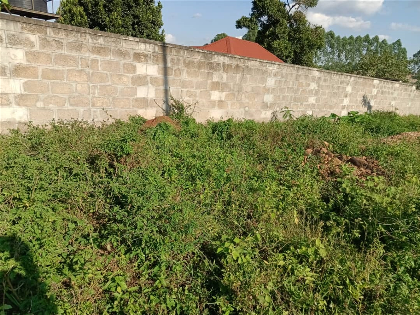 Residential land for sale in Namugongo Wakiso Uganda