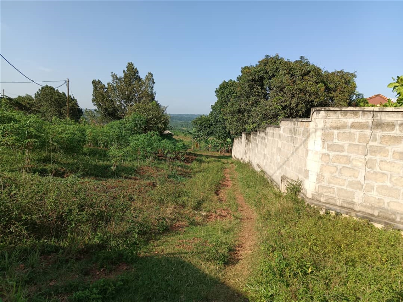 Residential land for sale in Namugongo Wakiso Uganda