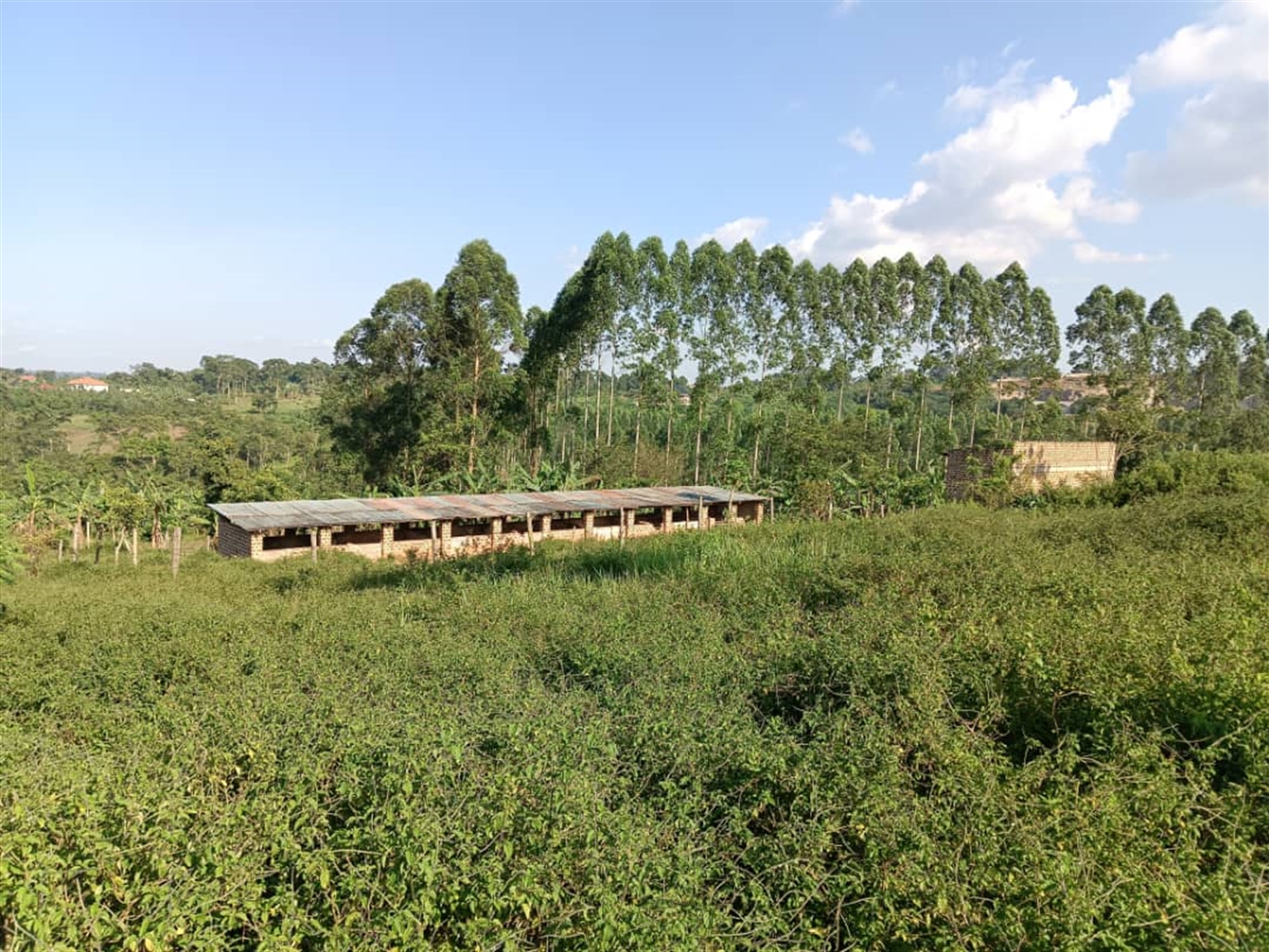 Residential land for sale in Namugongo Wakiso Ugan...