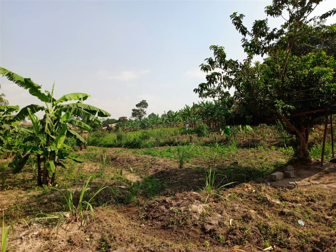  Residential land for sale in Namugongo Wakiso Uganda
