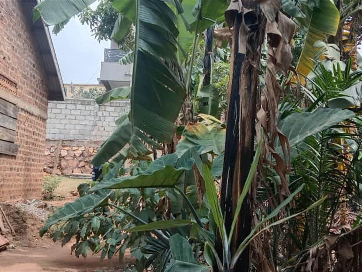 Residential land for sale in Kisaasi Kampala Uganda